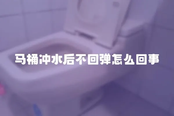 馬桶沖水后不回彈怎么回事