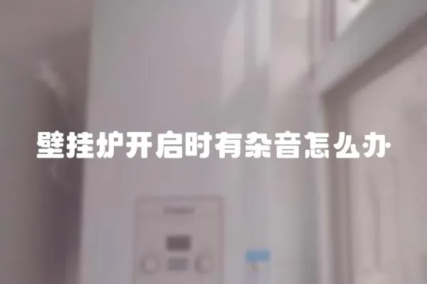 壁掛爐開啟時有雜音怎么辦