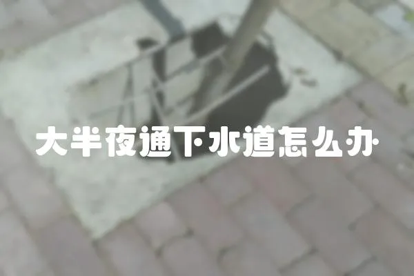 大半夜通下水道怎么辦