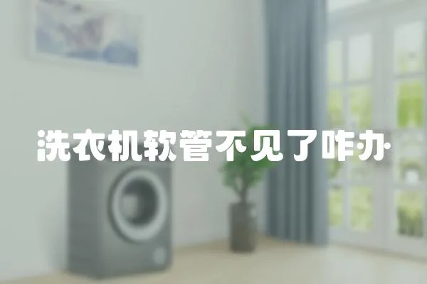 洗衣機(jī)軟管不見了咋辦