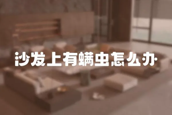 沙發上有螨蟲怎么辦
