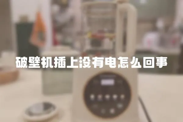 破壁機插上沒有電怎么回事