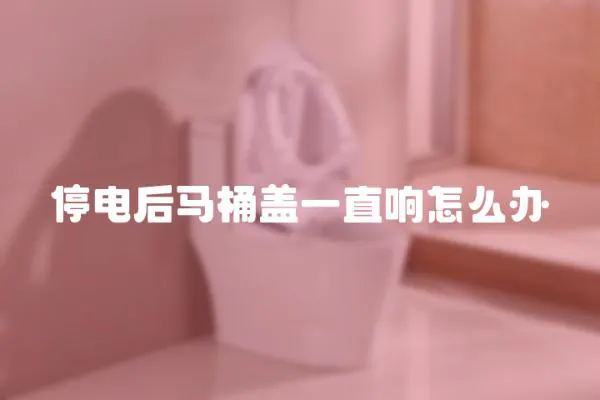 停電后馬桶蓋一直響怎么辦