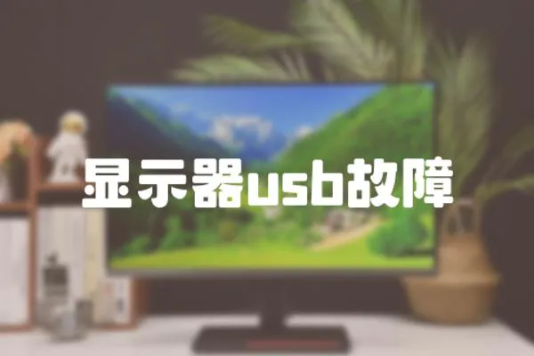 顯示器usb故障