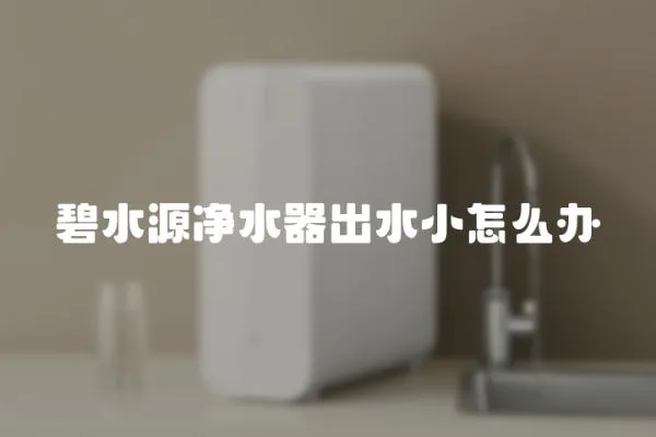 碧水源凈水器出水小怎么辦