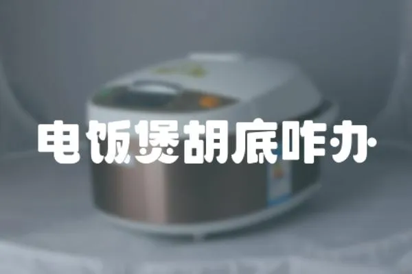 電飯煲胡底咋辦