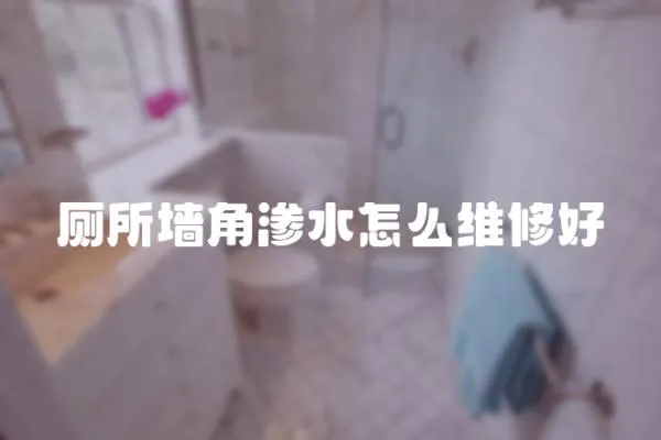 廁所墻角滲水怎么維修好