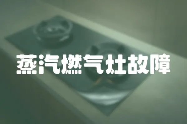蒸汽燃氣灶故障