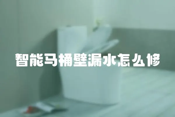 智能馬桶壁漏水怎么修