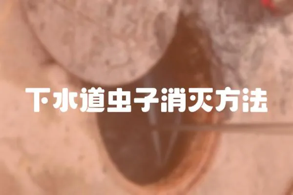 下水道蟲子消滅方法