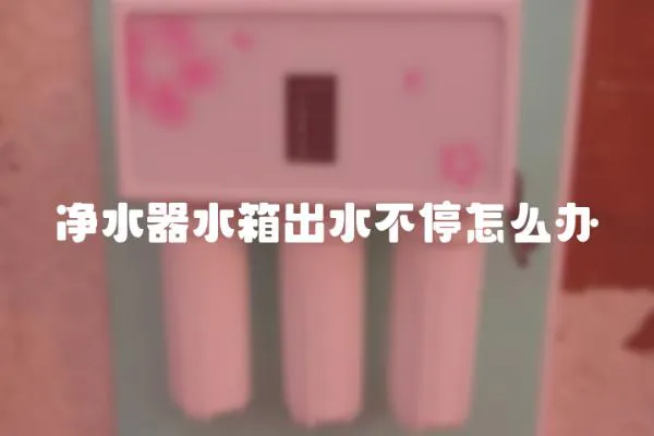 凈水器水箱出水不停怎么辦