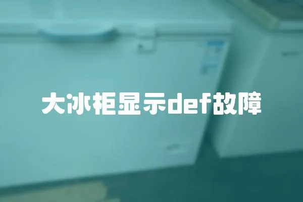 大冰柜顯示def故障