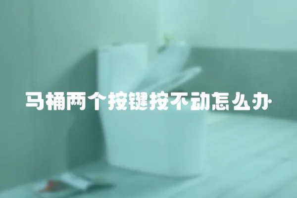 馬桶兩個按鍵按不動怎么辦