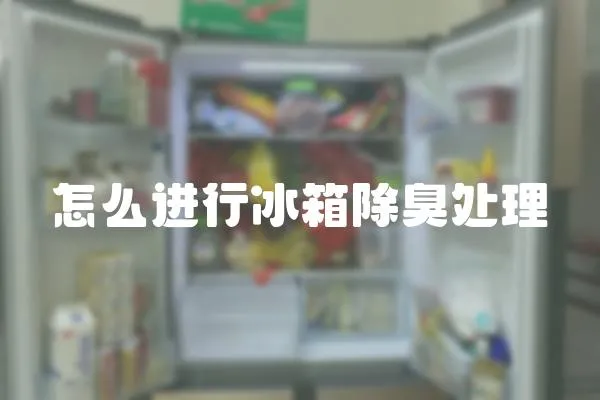 怎么進行冰箱除臭處理