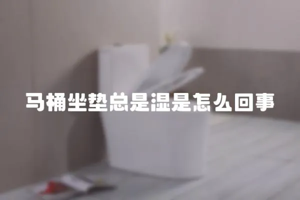 馬桶坐墊總是濕是怎么回事