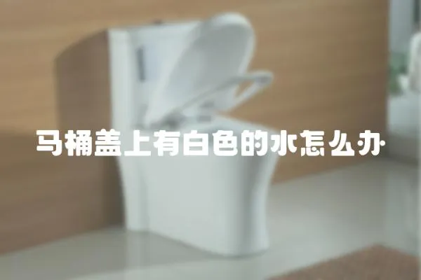 馬桶蓋上有白色的水怎么辦