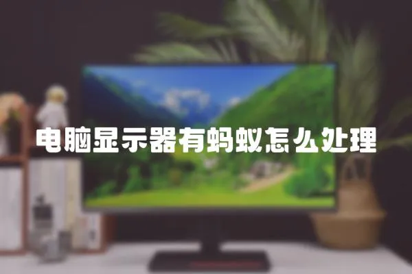 電腦顯示器有螞蟻怎么處理