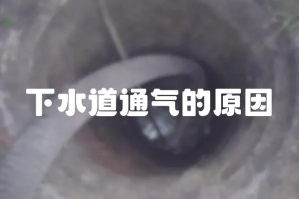 下水道通氣的原因