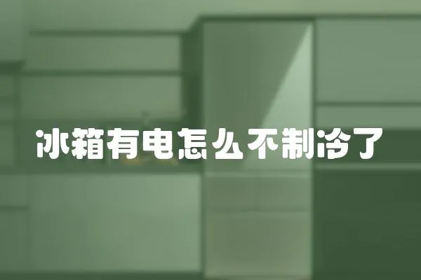 冰箱有電怎么不制冷了