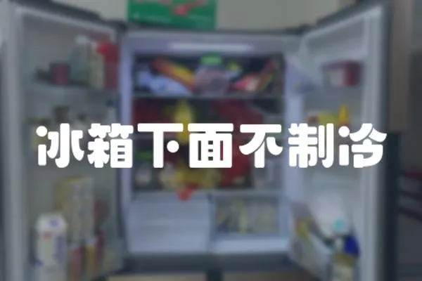 冰箱下面不制冷