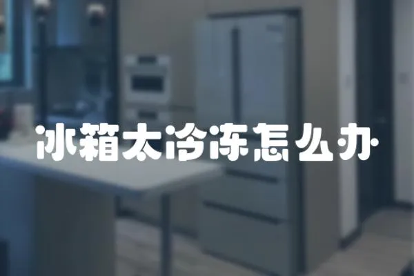 冰箱太冷凍怎么辦