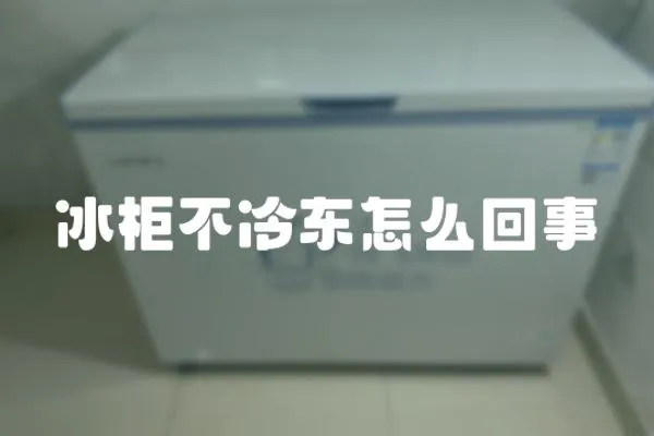 冰柜不冷東怎么回事