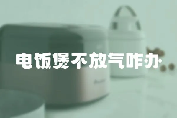 電飯煲不放氣咋辦