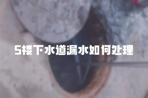 5樓下水道漏水如何處理