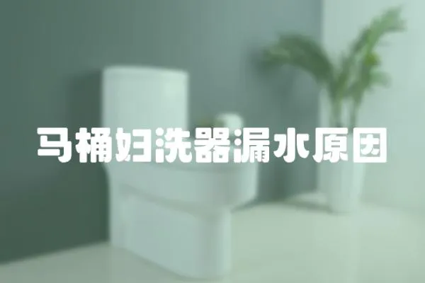 馬桶婦洗器漏水原因