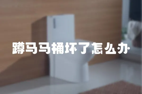 蹲馬馬桶壞了怎么辦