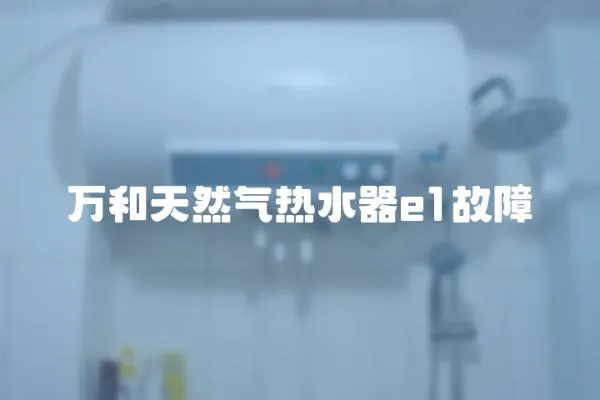 萬和天然氣熱水器e1故障
