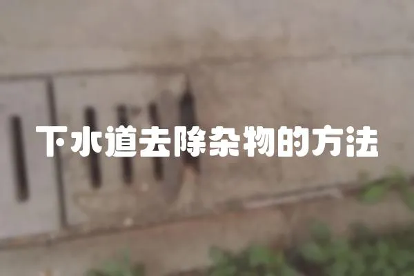 下水道去除雜物的方法