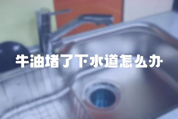 牛油堵了下水道怎么辦