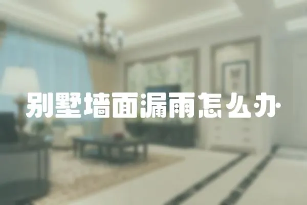 別墅墻面漏雨怎么辦