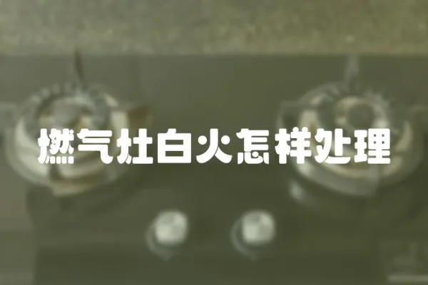 燃?xì)庠畎谆鹪鯓犹幚? loading=