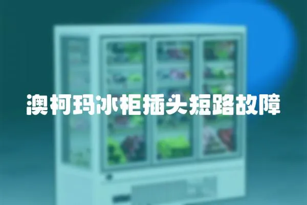 澳柯瑪冰柜插頭短路故障