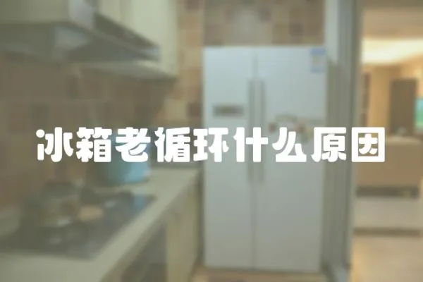 冰箱老循環什么原因