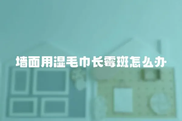 墻面用濕毛巾長霉斑怎么辦