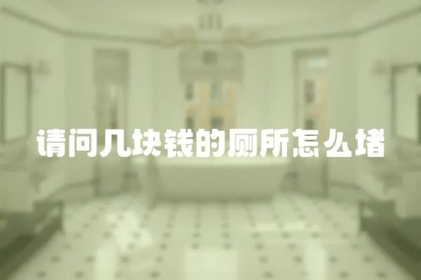 請問幾塊錢的廁所怎么堵