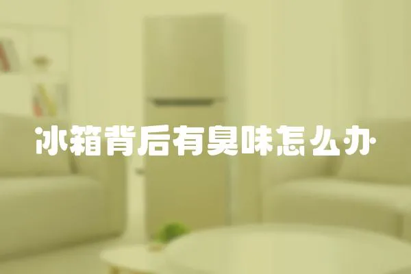 冰箱背后有臭味怎么辦