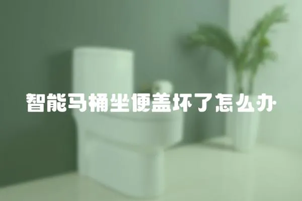 智能馬桶坐便蓋壞了怎么辦
