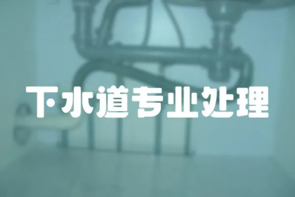 下水道專業處理