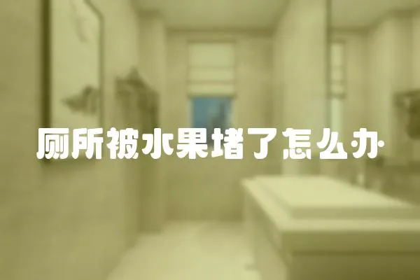 廁所被水果堵了怎么辦
