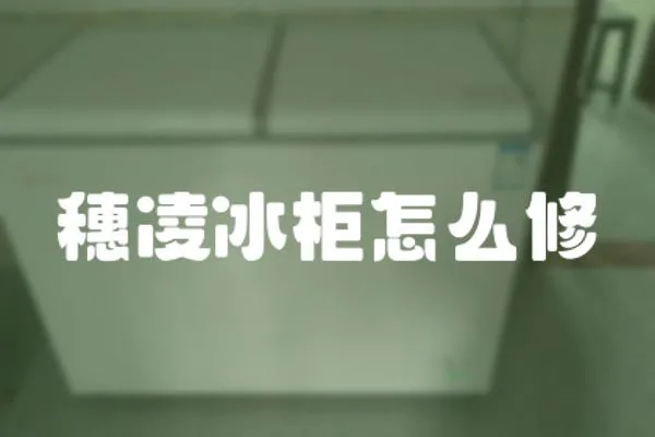 穗凌冰柜怎么修