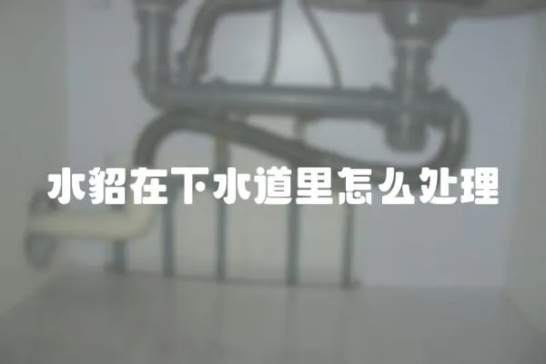 水貂在下水道里怎么處理