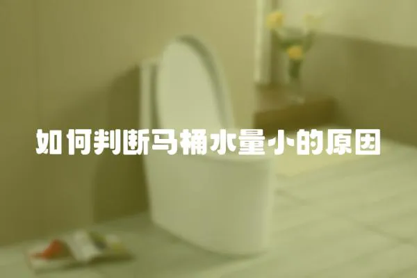 如何判斷馬桶水量小的原因