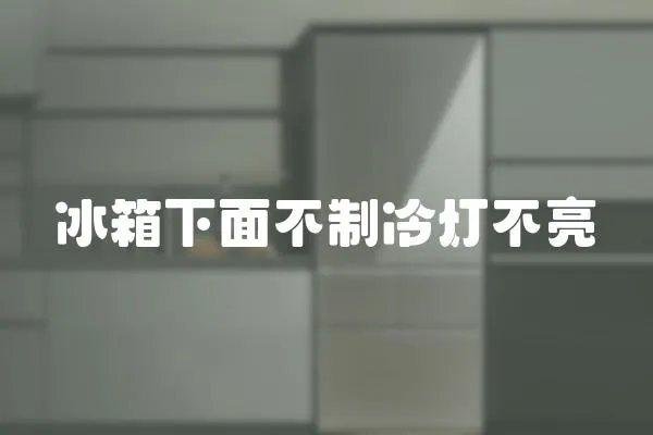 冰箱下面不制冷燈不亮