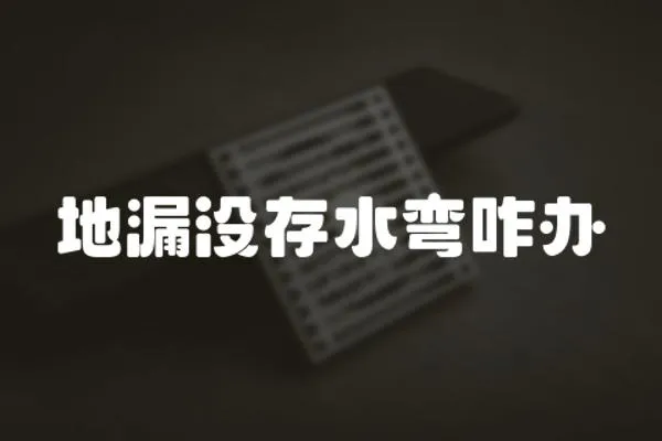 地漏沒存水彎咋辦