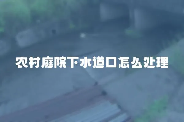 農(nóng)村庭院下水道口怎么處理