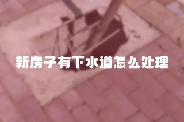 新房子有下水道怎么處理